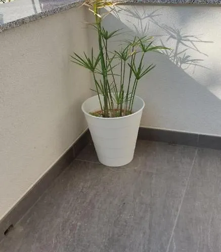 And Ivana Apartament